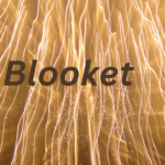 Blooket